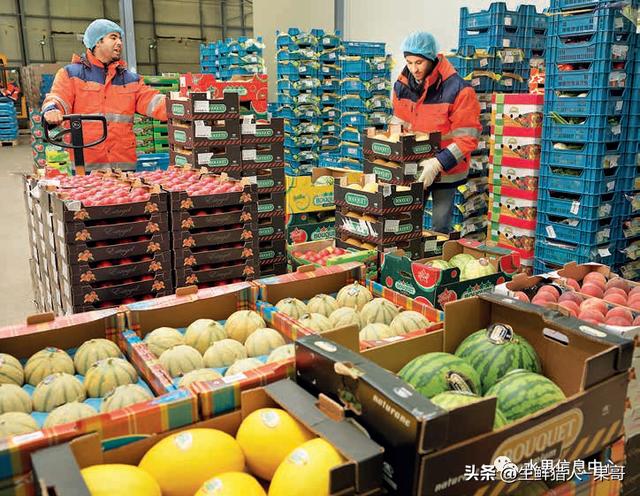 高端水果与蔬菜一手进货渠道全攻略