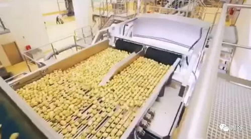 佳盛企智深加工共享工厂 创新农产品生产模式，助力蔬菜产业升级