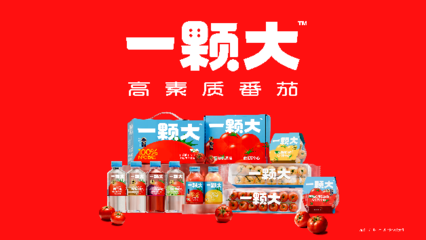 一颗大樱桃番茄的东南亚之旅 中国蔬菜“出海”版图再拓展